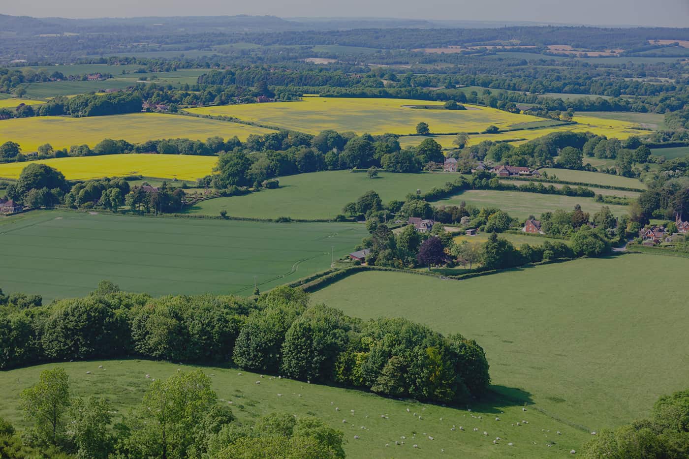 country property - green fields