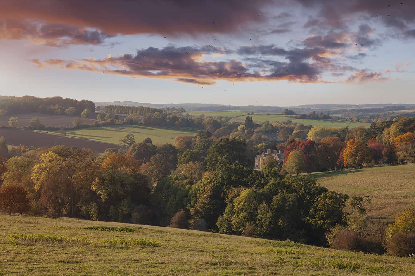 country property - green fields